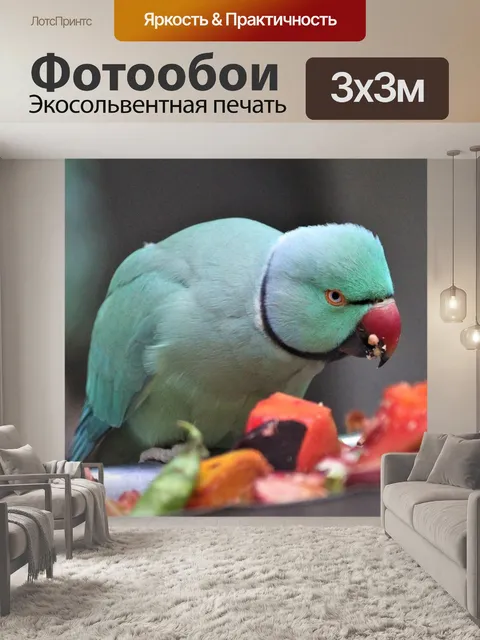 Фотообои Попугай
