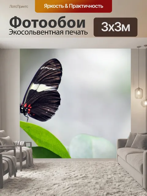 Фотообои Бабочка на лист Постоянный