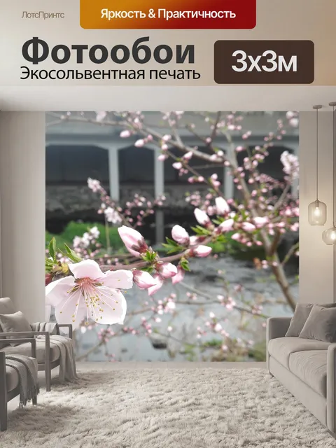 Фотообои Вишни в цвету