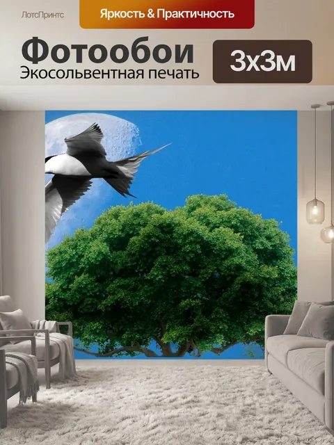 Фотообои Небеса