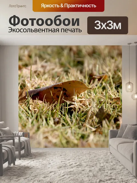 Фотообои Листья