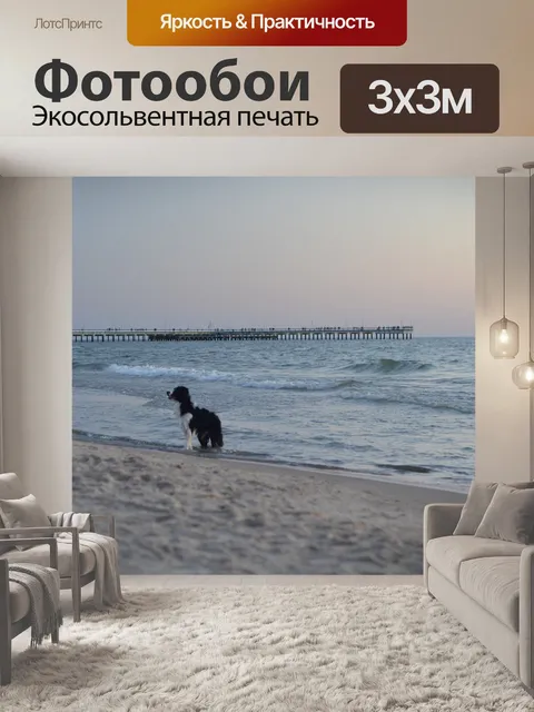 Фотообои Собака