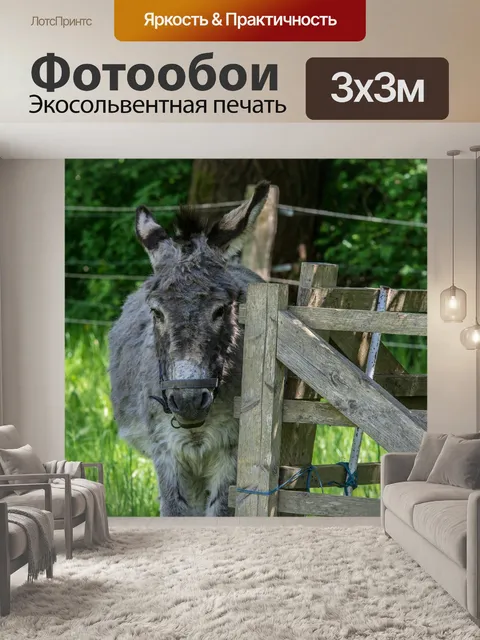 Фотообои Изгородь