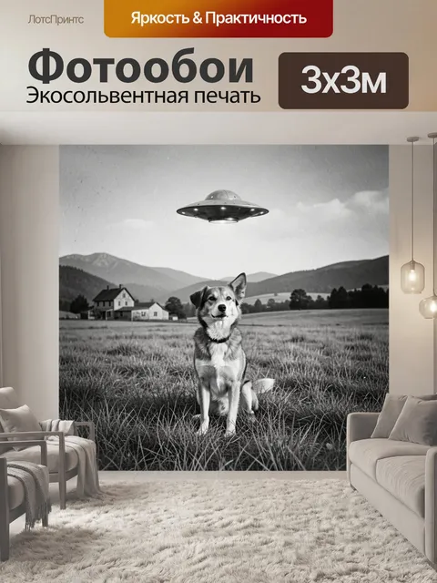 Фотообои Щенок и НЛО над деревней