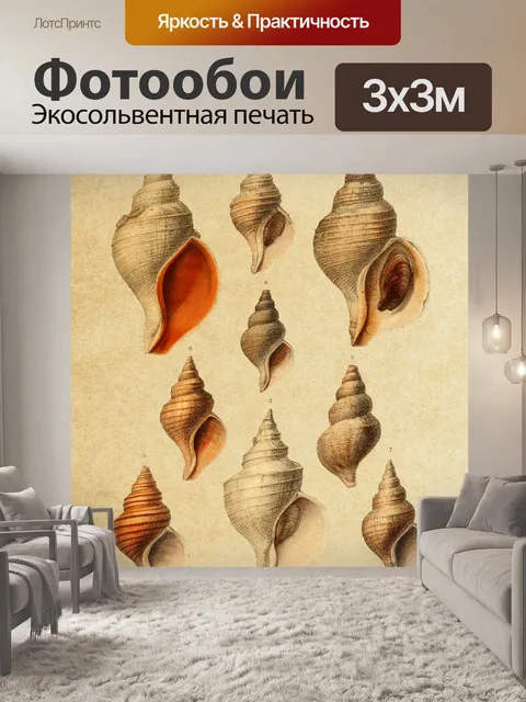 Фотообои Винтажный коллаж из морских раковин