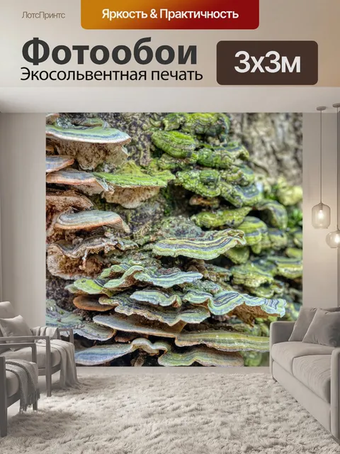 Фотообои Дерево грибов