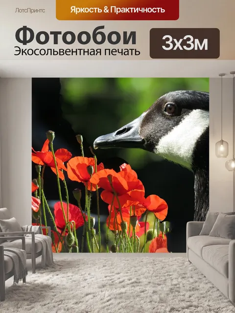 Фотообои Природа