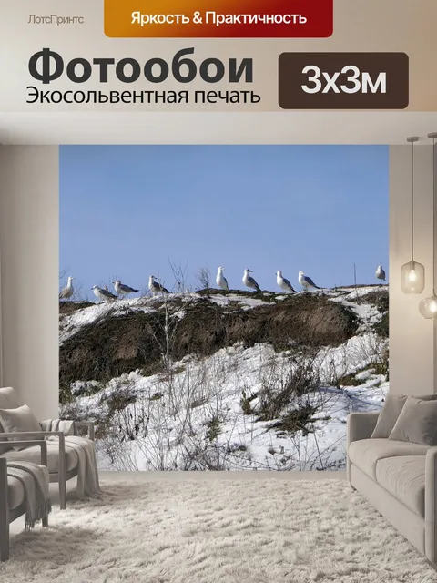 Фотообои Птицы