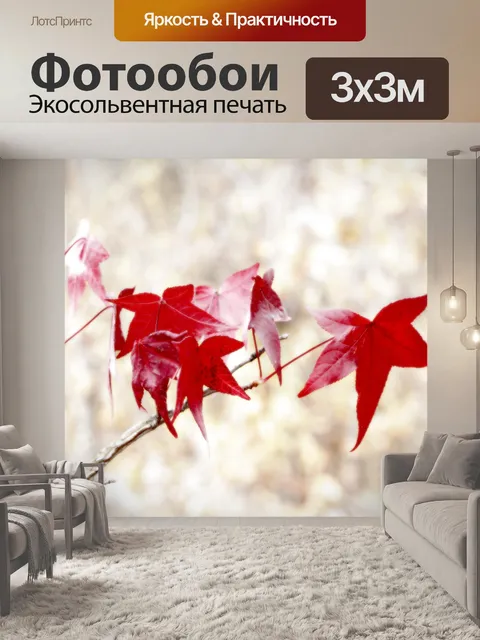 Фотообои Кленовые листья