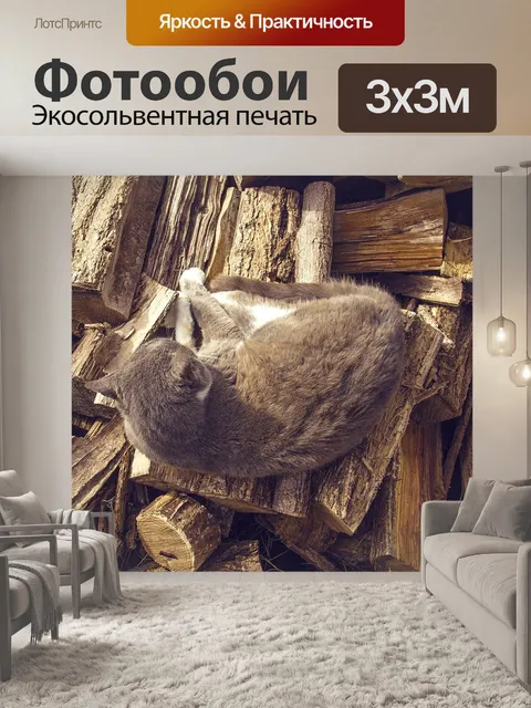Фотообои Кошка