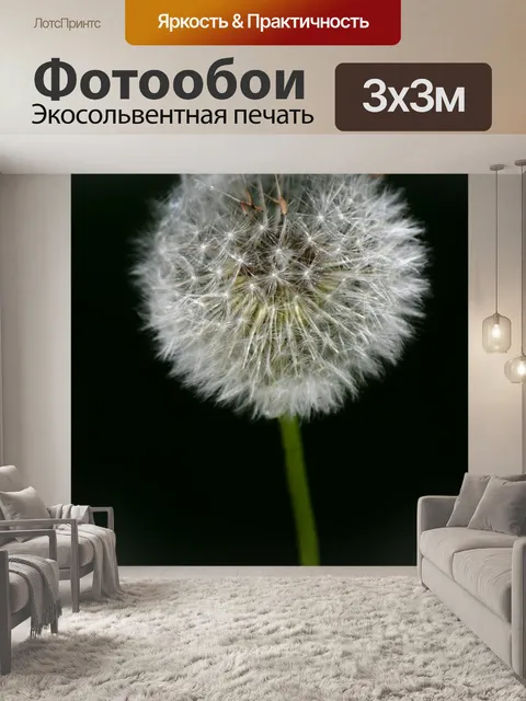 Фотообои Одуванчик