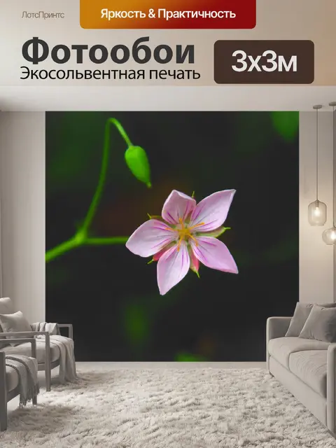 Фотообои Природа