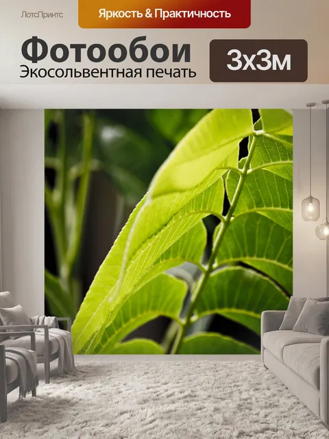 Фотообои Листы