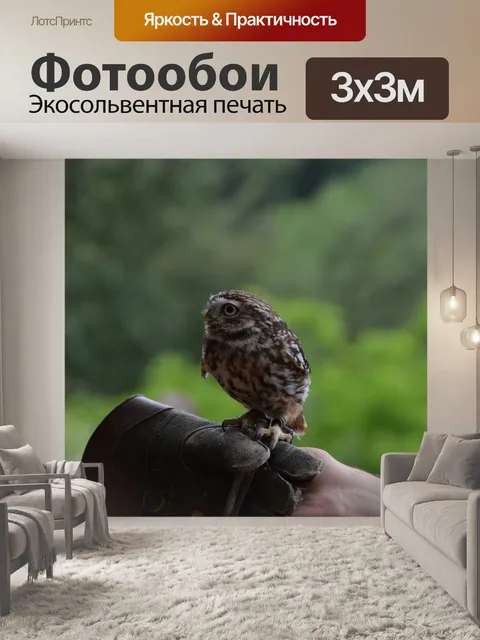 Фотообои Птица