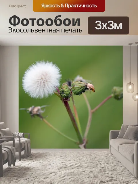 Фотообои Одуванчик Puff