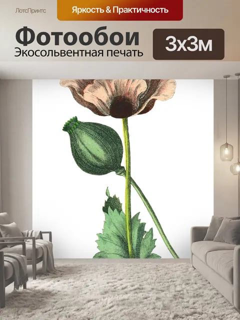 Фотообои Цветы клипарт графический рисунок