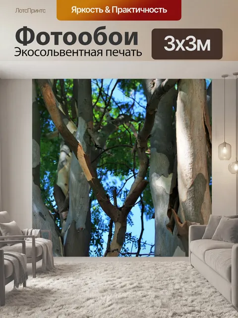 Фотообои пилинг кора по отраслям