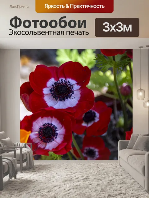 Фотообои мак анемон
