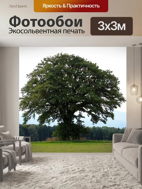 Фотообои Дерево