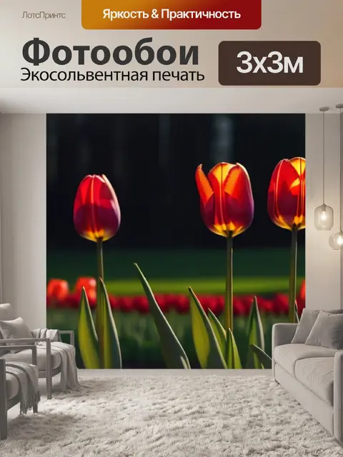 Фотообои подсвеченные тюльпаны в вечернем свете