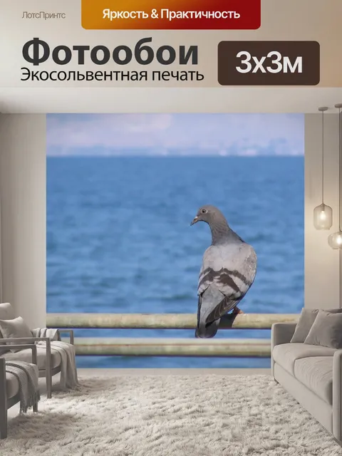 Фотообои Голубь