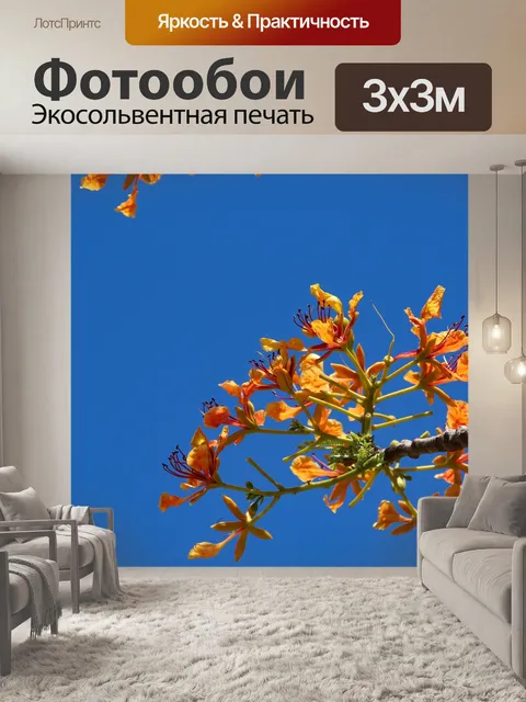 Фотообои Природа
