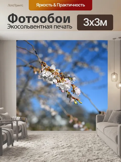 Фотообои Цветок