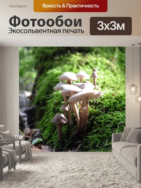 Фотообои Лес
