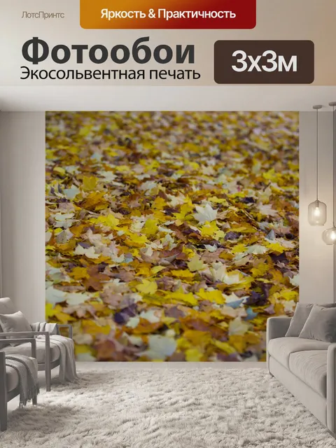 Фотообои Осенние листья