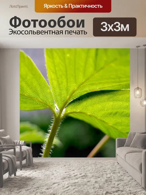 Фотообои Клубника