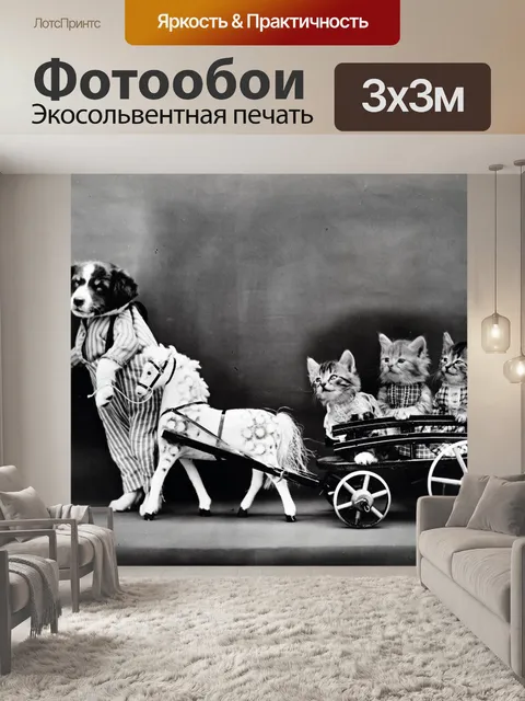 Фотообои Собака и кошки Одетый Винтаж