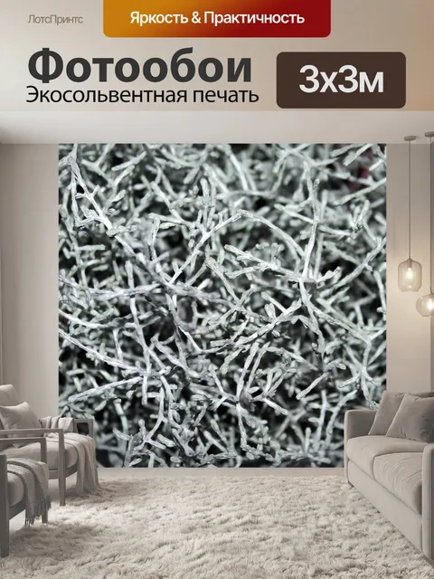 Фотообои Модель