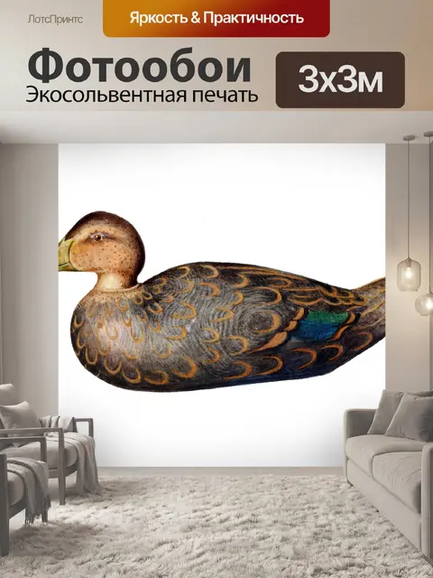 Фотообои Утка рисунок старинный клипарт