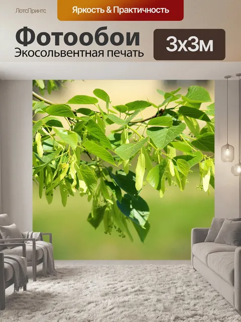 Фотообои Лаймовое дерево