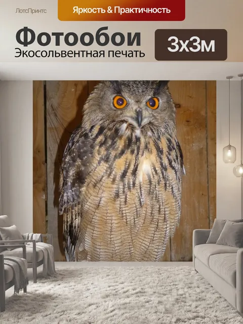 Фотообои Сова