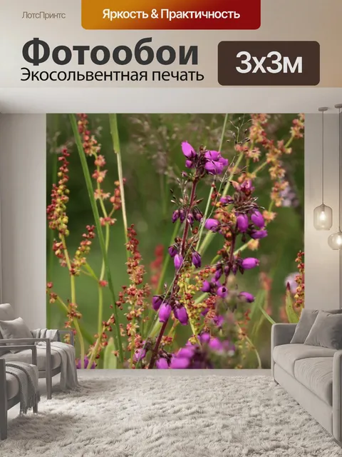 Фотообои Цветы