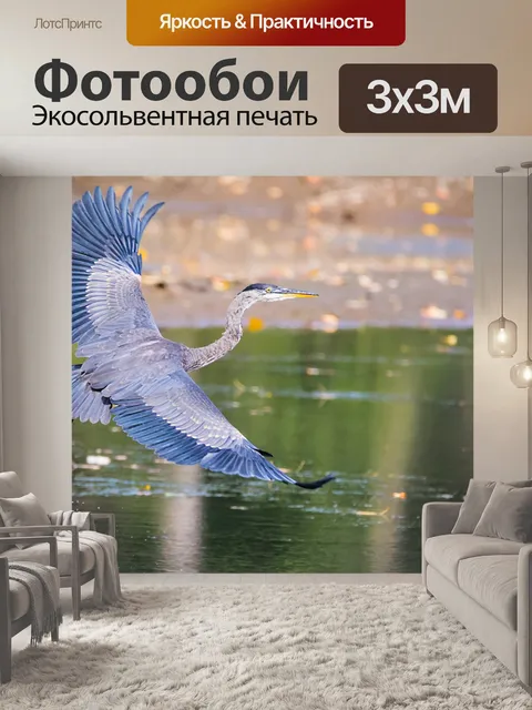 Фотообои Цапля