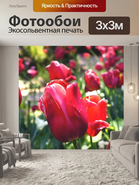 Фотообои Тюльпаны