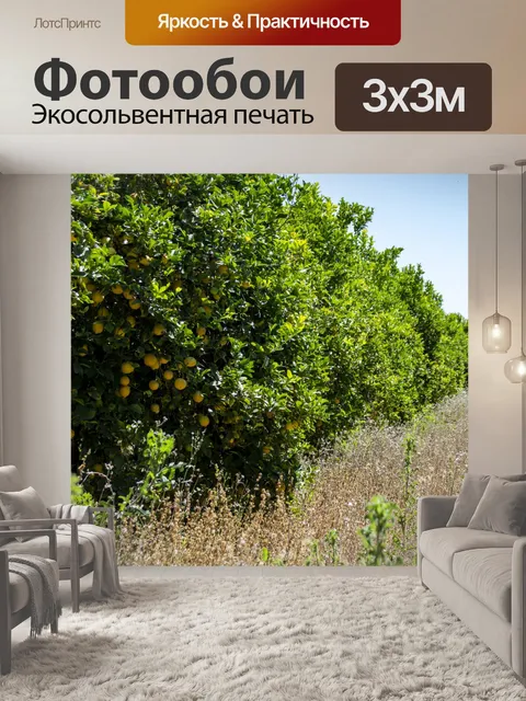 Фотообои Лимонные Деревья
