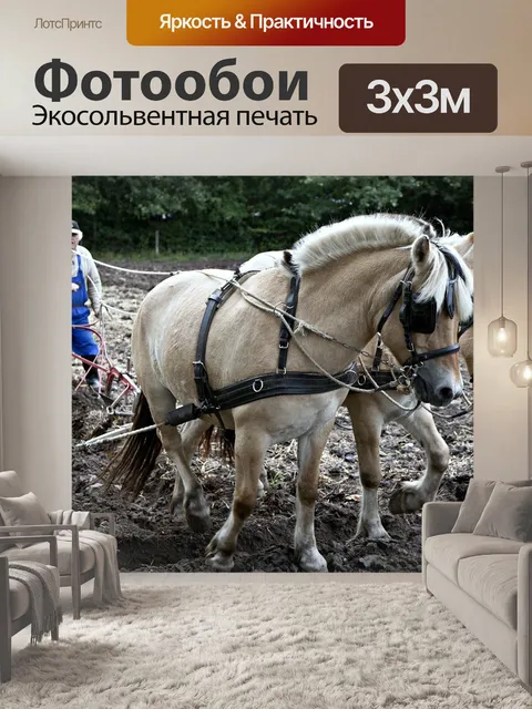 Фотообои Лошади
