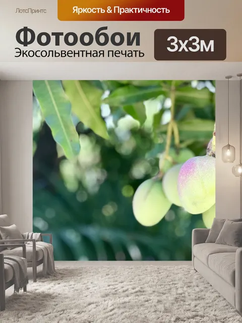 Фотообои Фрукты