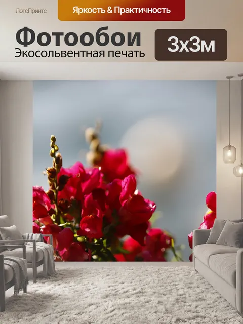 Фотообои Цветы