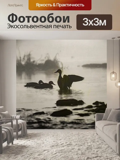 Фотообои Туман