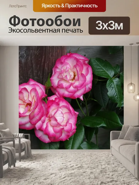 Фотообои Розы