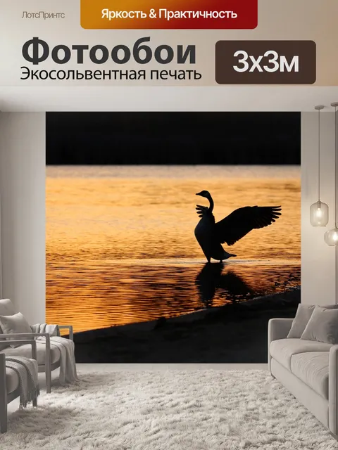 Фотообои Гуси