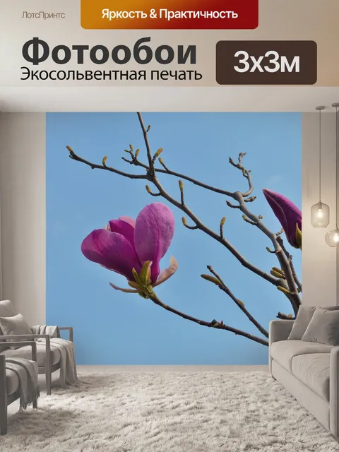 Фотообои Магнолия