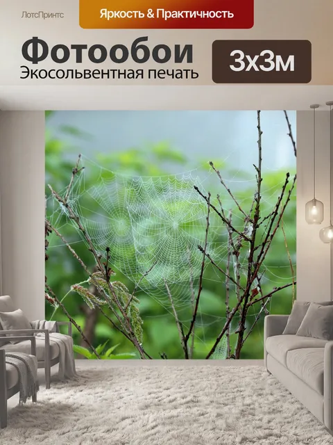Фотообои Паутина