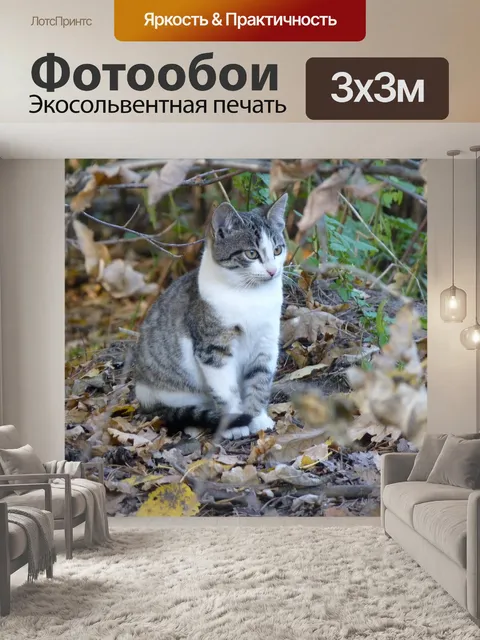 Фотообои Кошка