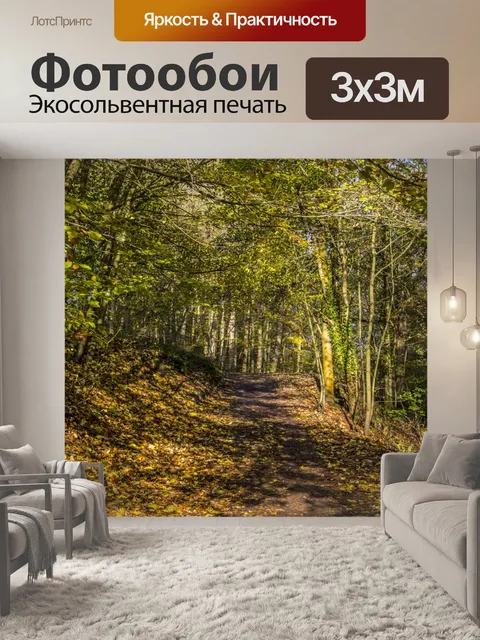 Фотообои лес