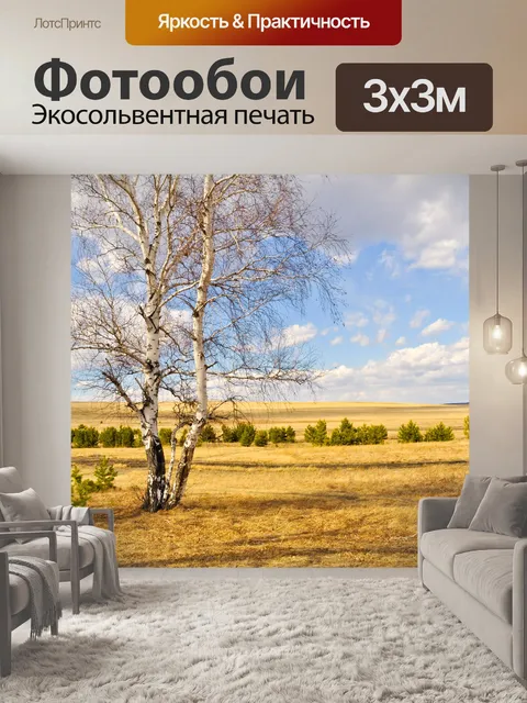 Фотообои Березы